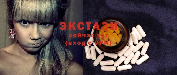 ECSTASY Богородицк